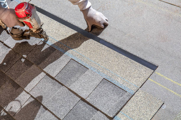 Best Roof Replacement Cost  in Black Hammock, FL