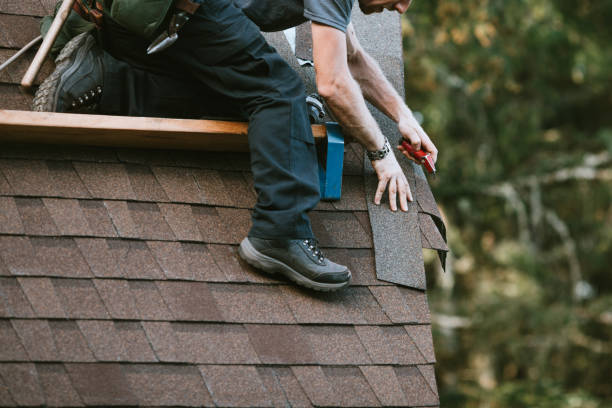 Best Shingle Roofing Installation  in Black Hammock, FL