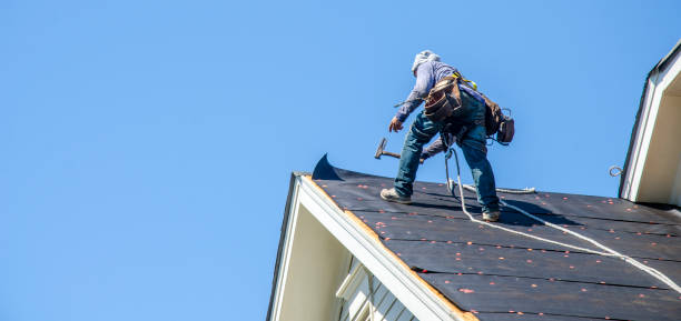 Best Local Roofing Companies  in Black Hammock, FL